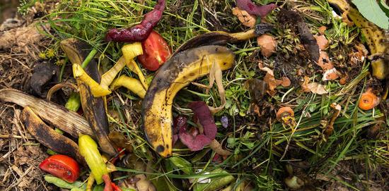 Focus sur les biodéchets : que faire de vos déchets alimentaires et déchets verts ?