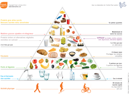 La pyramide alimentaire