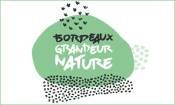 Bordeaux grandeur nature