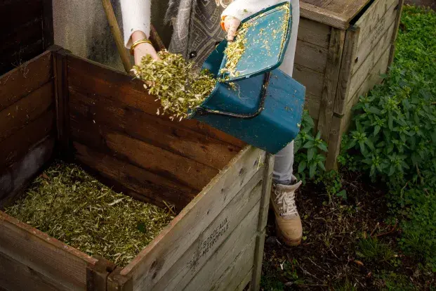 Femme jetant de l'herbe dans un composteur