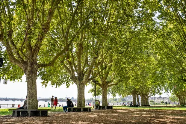 Des promeneurs sous les arbres de la prairie au Girondins et sur les quais de Garonne 
