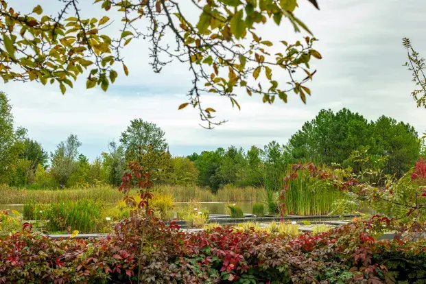 La jardin aquatique et les arbres du jardin botanique de Bordeaux