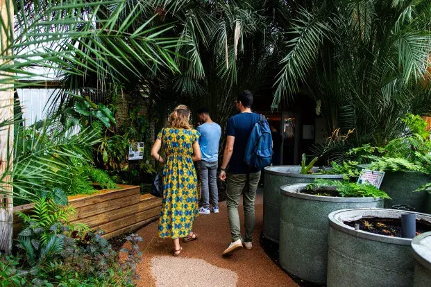 Des visiteurs dans les serres du jardin botanique de La Bastide