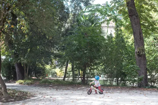 Un enfant avec son vélo sur une allée bordée d'arbres