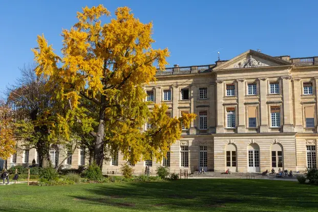 Un jardin avec une pelouse verdoyante, un grand arbre aux feuilles jaunes et un élégant bâtiment en pierre en arrière-plan.