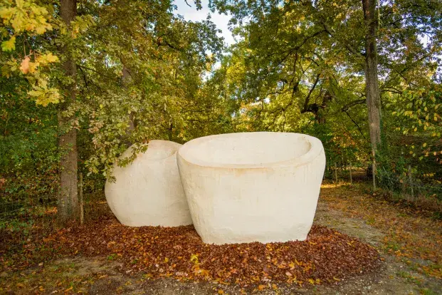 Deux grandes sculptures blanches en forme de bols reposent sur un lit de feuilles d'automne dans une forêt.