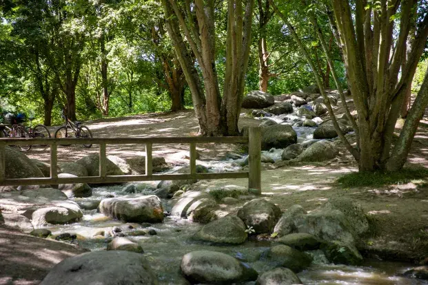 Un ruisseau traverse une forêt ombragée, bordé de rochers et d'un petit pont en bois.