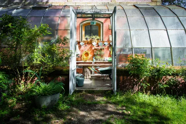 Une serre ancienne avec une porte ouverte, entourée de plantes et d’outils de jardinage.