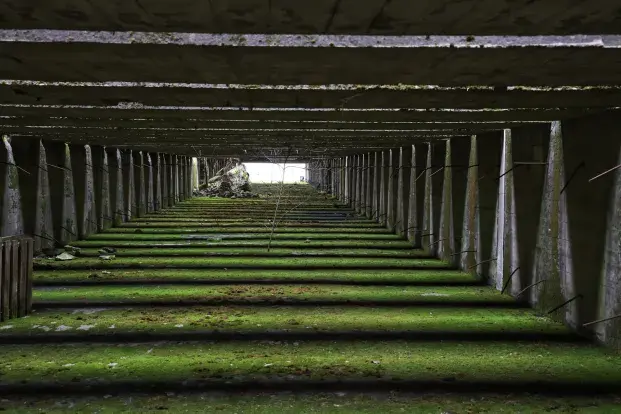 Toiture de la Base sous-marine