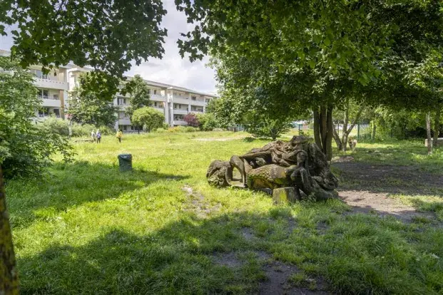 Espace boisé du jardin de ta sœur