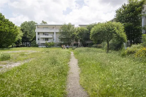 Cani-parc du jardin de ta sœur