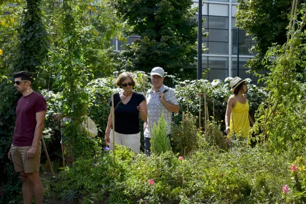 Des personnes avec chapeaux au milieu du jardin Noviciat