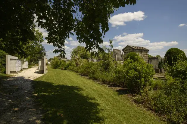 Vue du cimetière de la Chartreuse, des caveaux entourés de verdure.