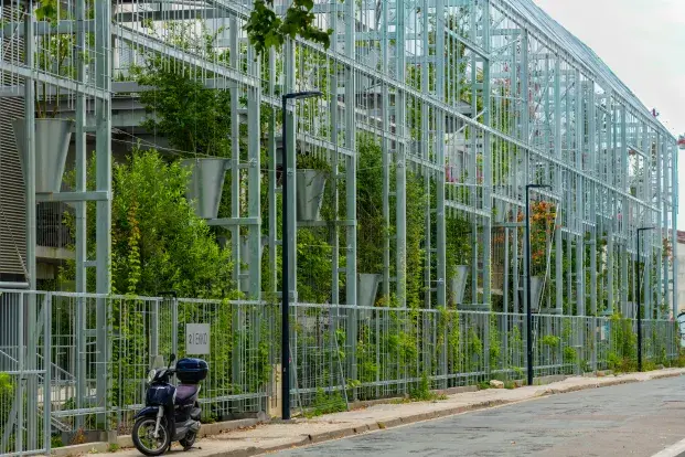 Photo : Une façade végétalisée sur une des constructions du quartier pour apporter de la fraîcheur. © F. Deval / Ville de Bordeaux