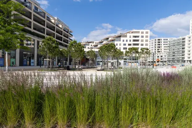 photo du quartier Belvédère à Bordeaux avec de la végétation au premier plan et des immeubles à l'arrière plan.