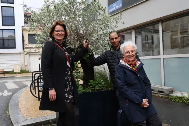 Photo des habitants devant l'olivier planté dans la rue Guillaume Leblanc