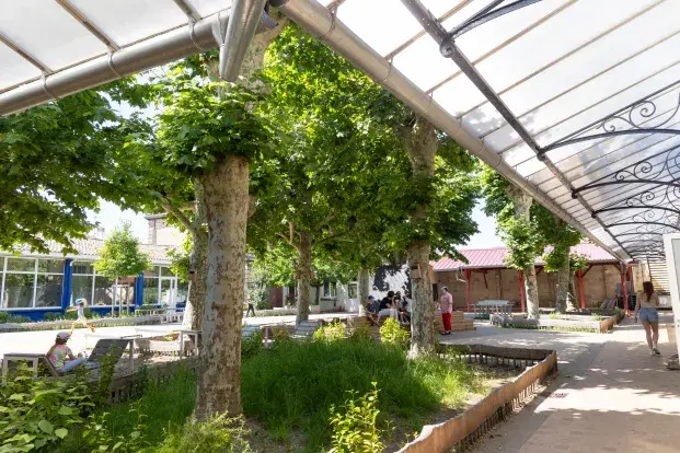 photo de la cour d'école jacques prévert, avec des arbres et des massifs plantés.