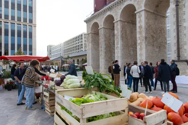 Photo du marché des Citernes dans le quartier Amédée Saint-Germain à Bordeaux