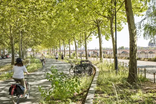 Des cyclistes circulent sur une piste cyclable bordée d'arbre. En fond on aperçoit le pont de pierre.