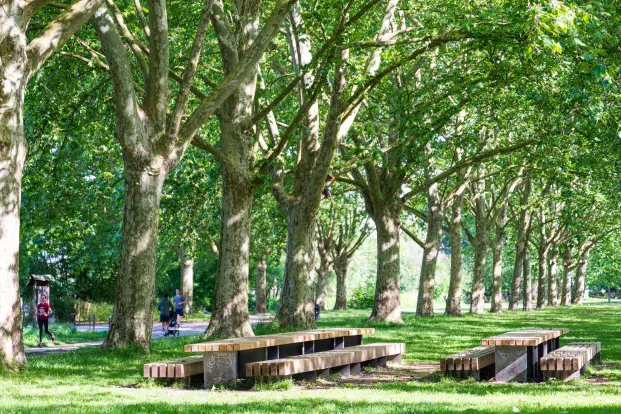 Des tables de pique-nique à côté d'une allée bordée d'arbres sur laquelle des personnes se promènent