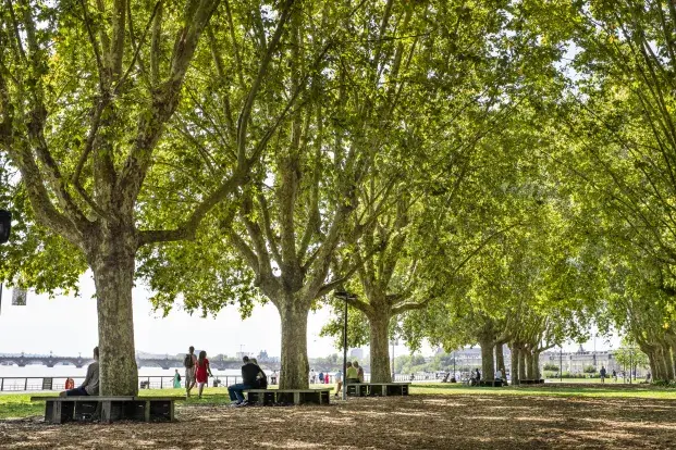 Photo : Le long de la Garonne, les quais aménagés et végétalisés sont des lieux propices à la promenade, au sport et à la détente sous les arbres. © R. Escher
