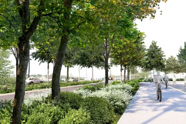 Photo des quais de la rive droite avec ses nouveaux végétaux et piste cyclable 