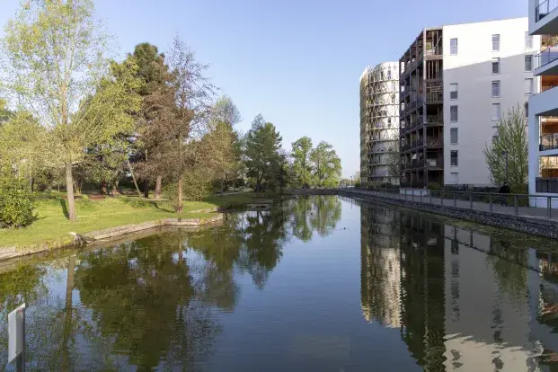 De grands bassins au cœur du quartier Ginko