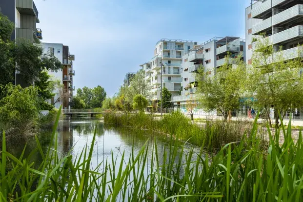 Des bâtiments le long d'un grand cours d'eau et de la végétation à Ginko