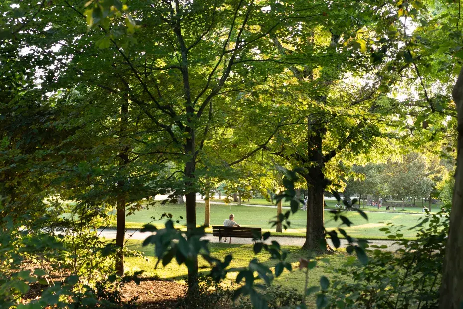 Des arbres en premiers plan, une personne assise sur un banc au bord de la pelouse d'un jardin
