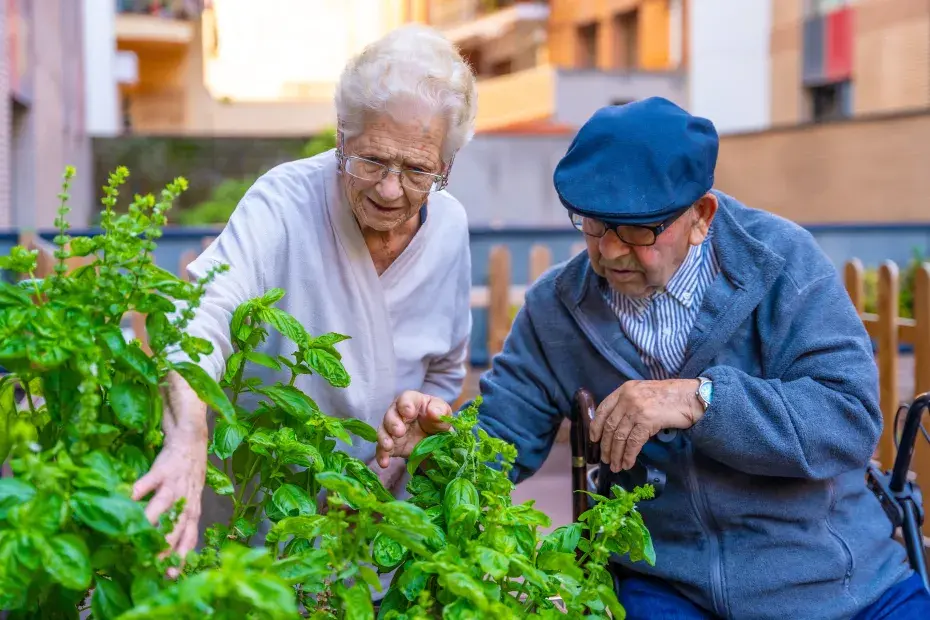 Un couple de personnes âgées jardinent.