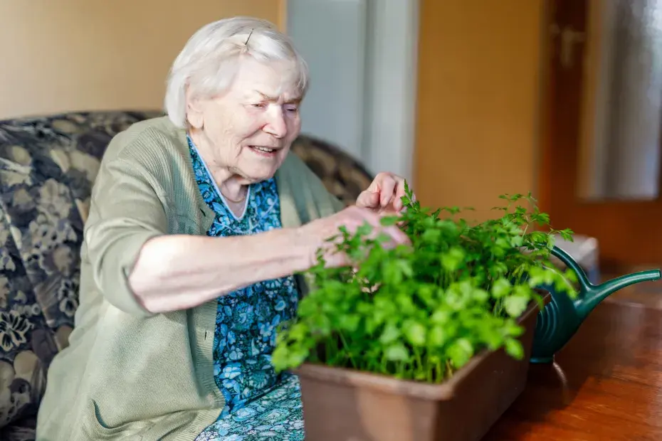 Une dame âgée s'occupe de sa jardinière.
