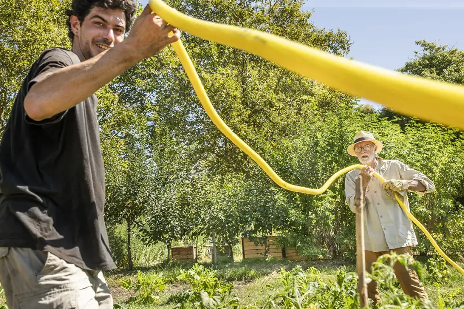 jardin partagé