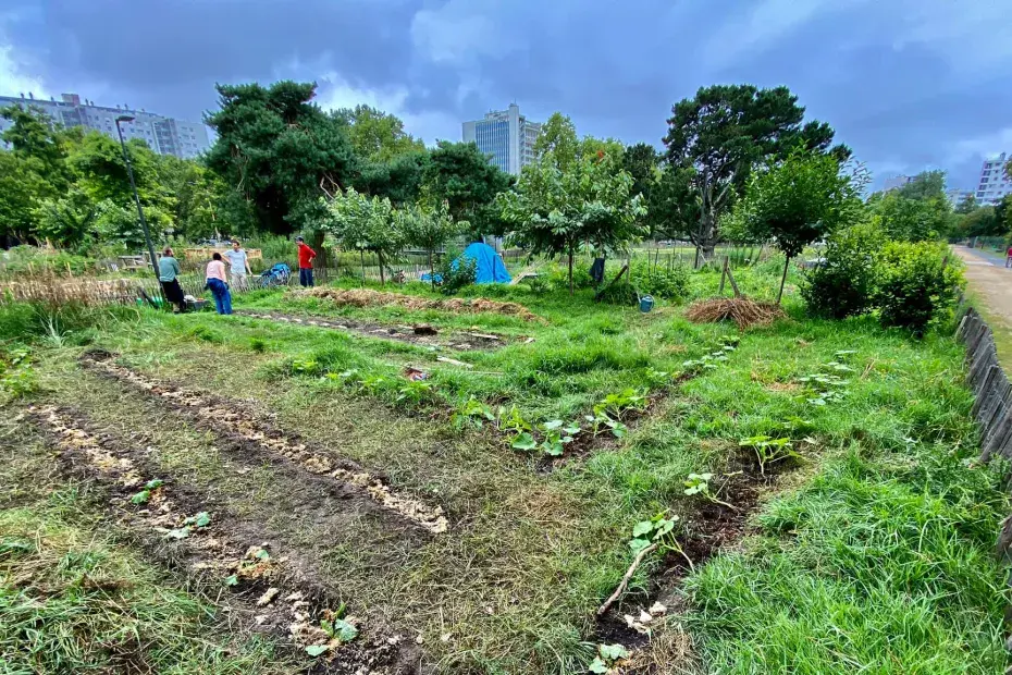 Plan large d'un jardin