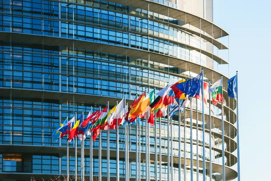 drapeaux des pays de l'Union européenne
