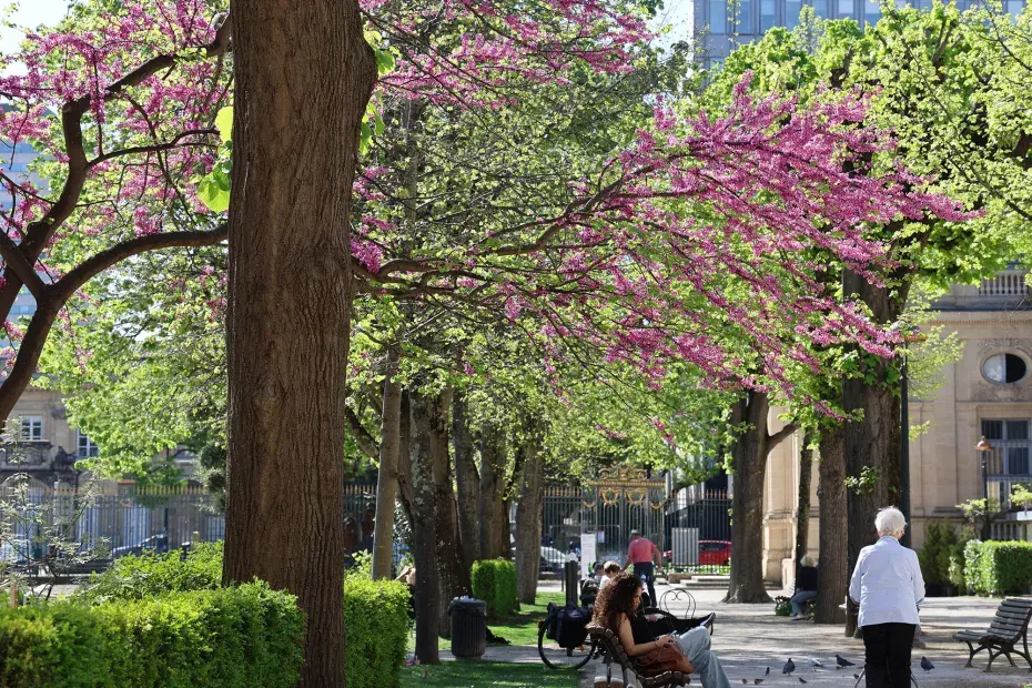 Photo des visiteurs se baladent dans le jardin de la Mairie sous une végétation en pleine éclosion.