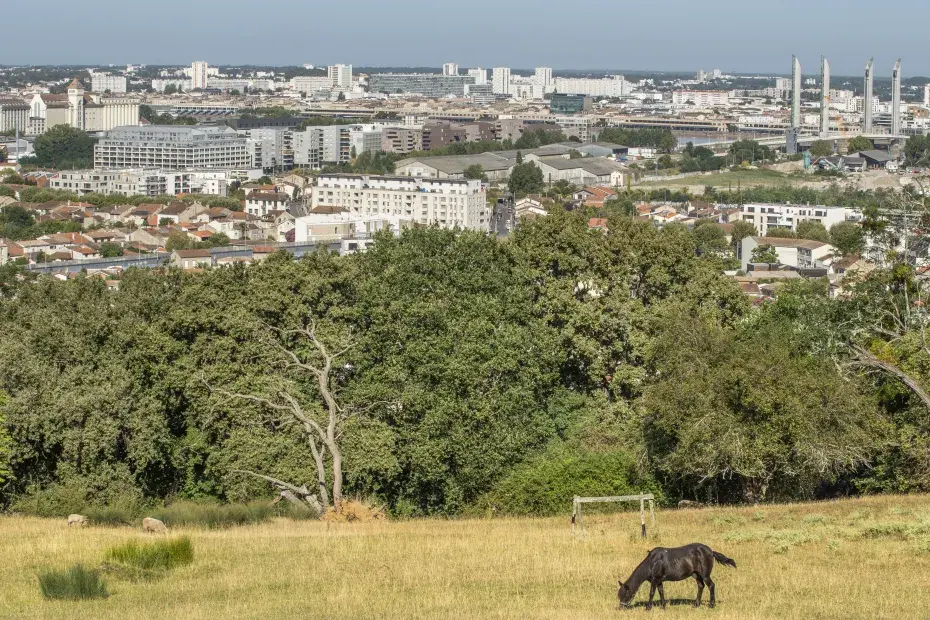 Vue du quartier Brazza et du pont Chaban Delmas depuis les hauts de Garonne.