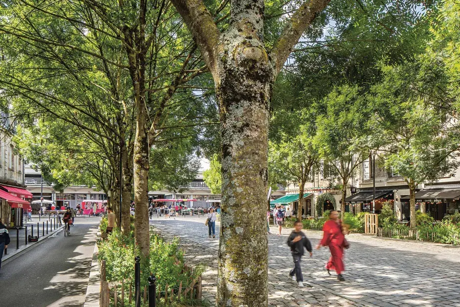 Des personnes marchent sur l'allée centrale de la place des Capucins bordée d'arbre et de végétation