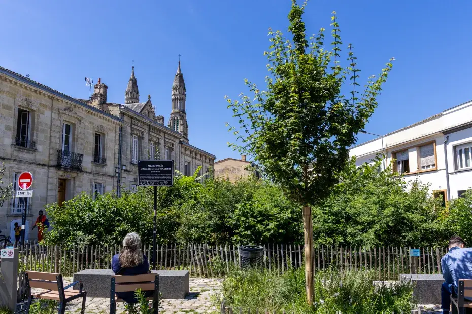 Photo en plan élargi de la place qui accueille la micro-foret. Au premier plan des personnes sont assises sur des bancs. En arrière plan on voit les clochers de l'église du Sacré-Cœur.