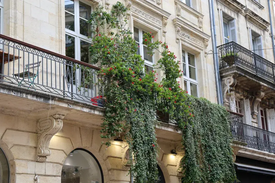 Photo d'un balcon où les plantes poussent tout le long de ce dernier