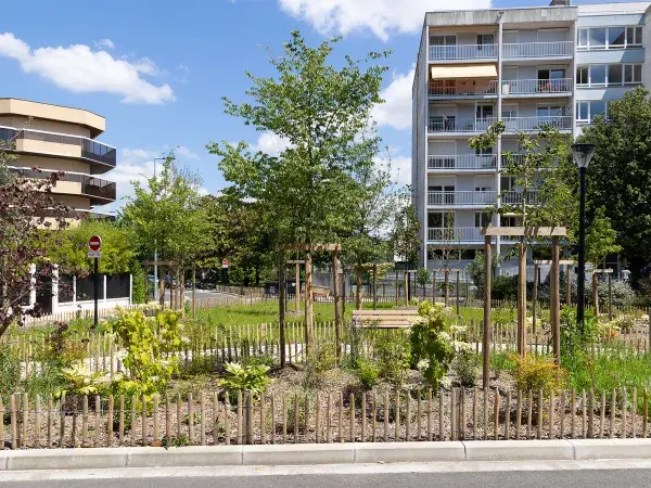 Place Lehu après