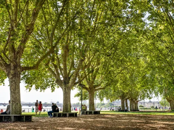 Des promeneurs sous les arbres de la prairie au Girondins et sur les quais de Garonne 