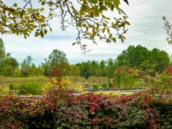 La jardin aquatique et les arbres du jardin botanique de Bordeaux
