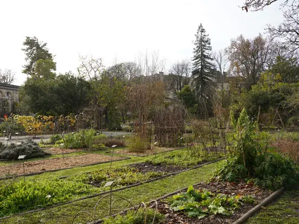 Plantes, arbustes et arbres du jardin botanique du jardin public