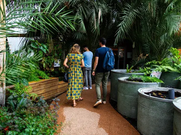 Des visiteurs dans les serres du jardin botanique de La Bastide