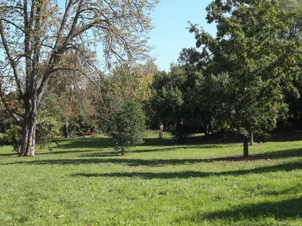 Un parc verdoyant avec des arbres, de l’herbe bien entretenue et des bancs en arrière-plan sous un ciel bleu clair.