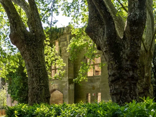 Les ruines du château dissimulées derrière des arbres