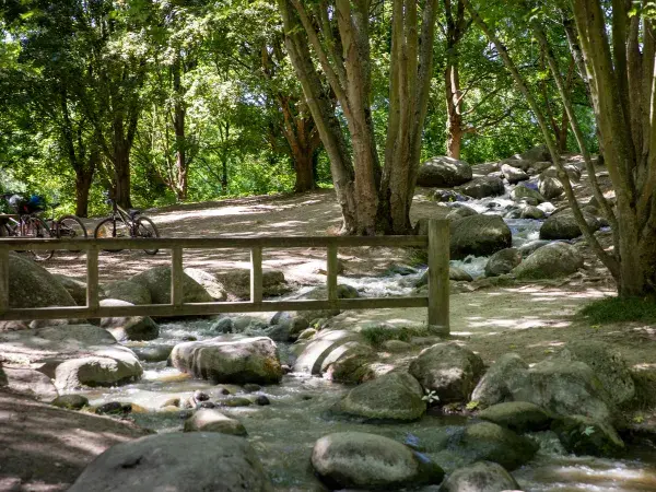 Un ruisseau traverse une forêt ombragée, bordé de rochers et d'un petit pont en bois.