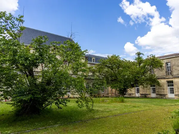 Photo des deux arbres de Judée dans le jardin de l'hôpital Charles Perrens