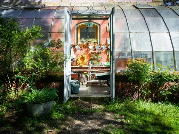 Une serre ancienne avec une porte ouverte, entourée de plantes et d’outils de jardinage.