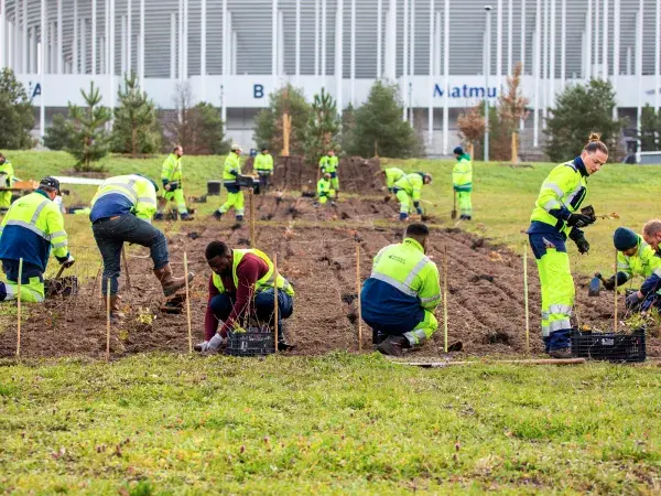 Photo : Situé contre le parvis du grand stade de Bordeaux Lac, le rond-point Lapébie a été replanté en partie par des habitants. © C.Barbier © Charlotte Barbier
